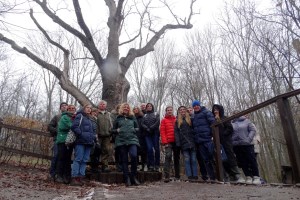 Екскурсія до Холодного Яру на первоцвіти 